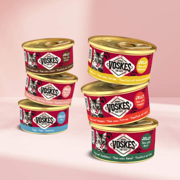 Tasty jelly cat snacks