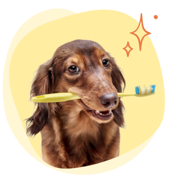 Snacks for caring