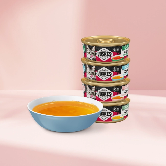 Delicious cat drinks 