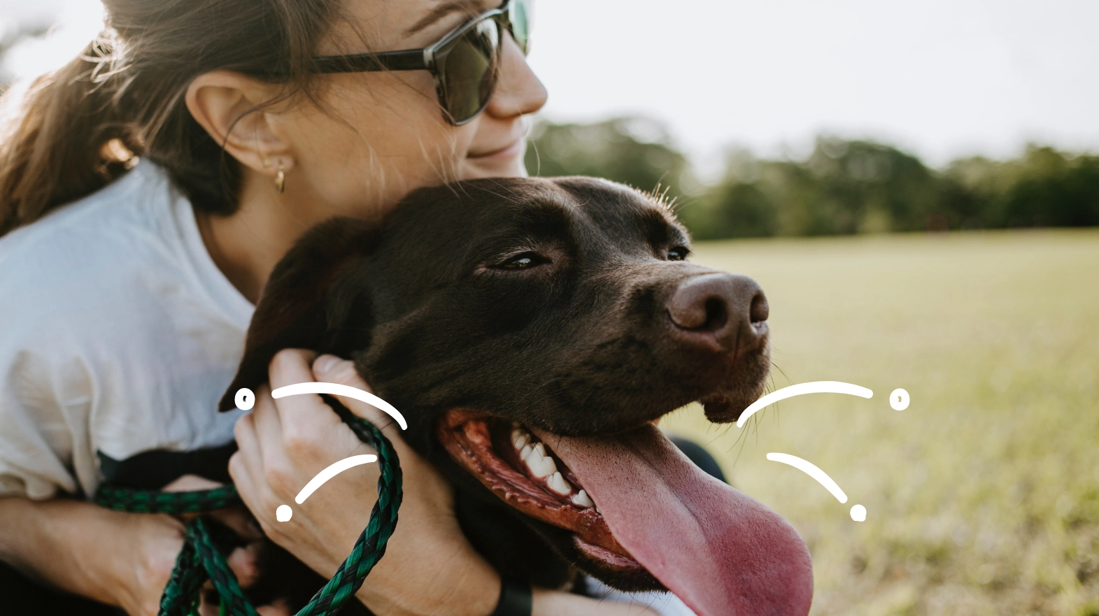 PLENTY OF SNACKS TO SURPRISE YOUR DOG EVERY DAY!