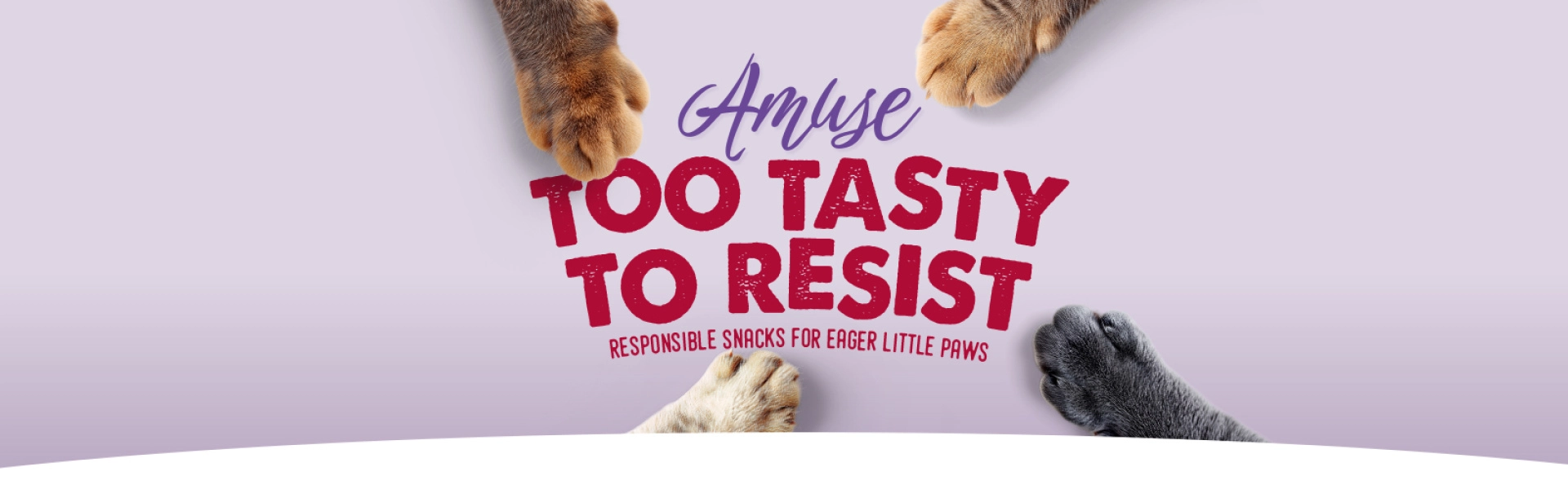 Amuse Voskes for cats